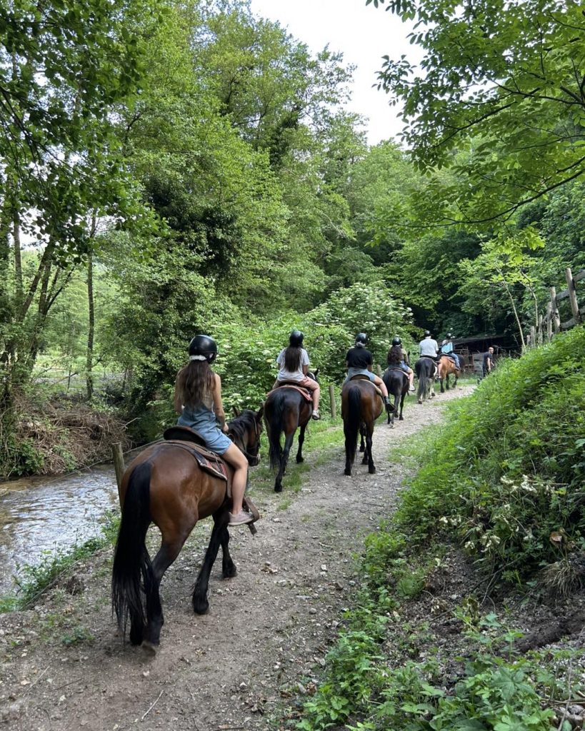 564696696_1392360492889803_9160255898127706909_n (1)